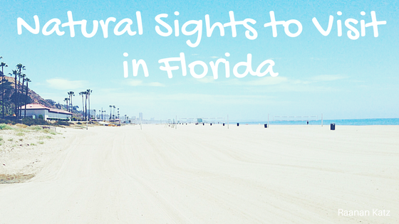 Natural Sights in the Miami Area - Raanan Katz (2)